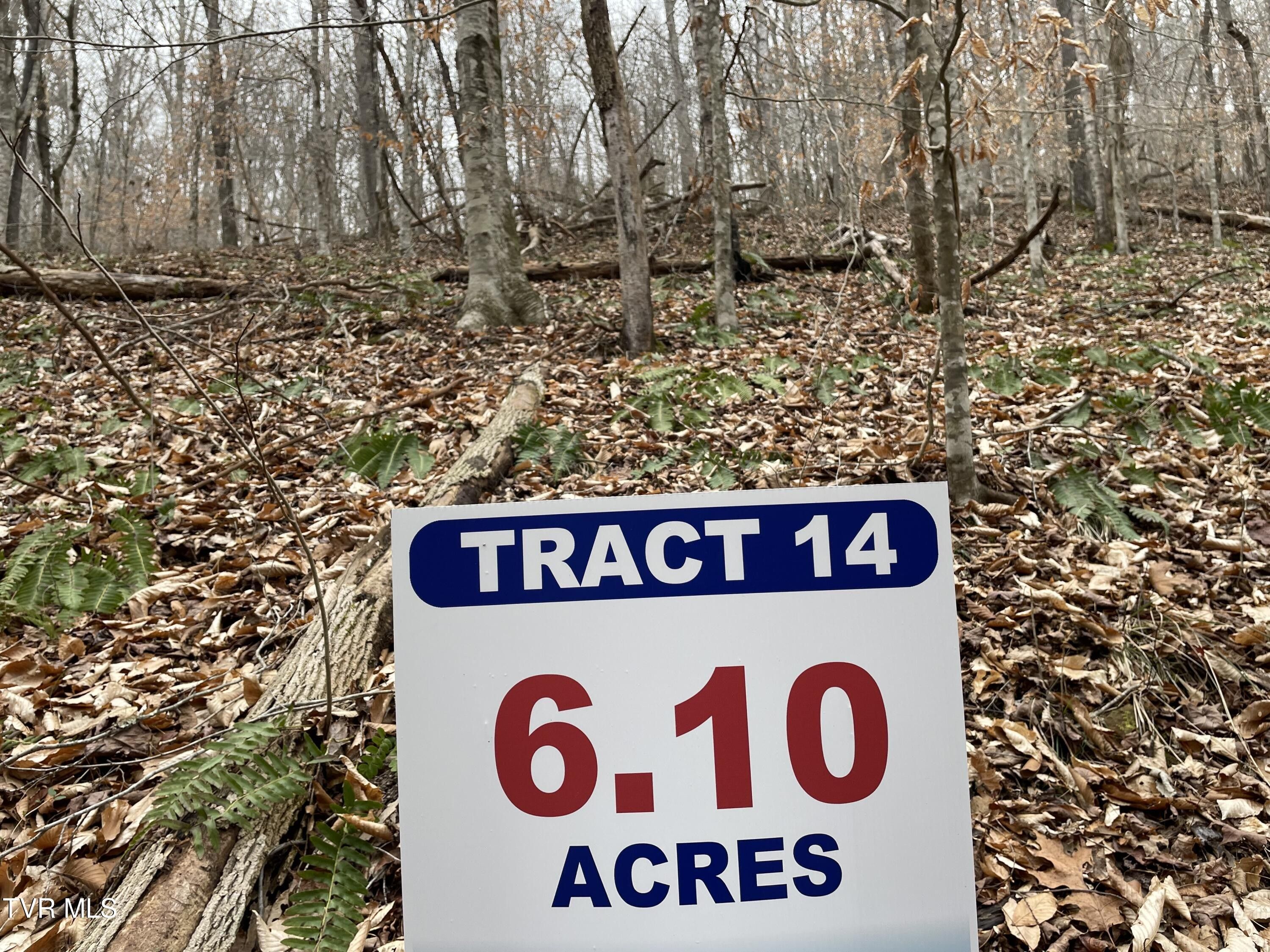 Tract 14 Chestnut Ridge Road, Sneedville, TN 37869 MLS 9962140