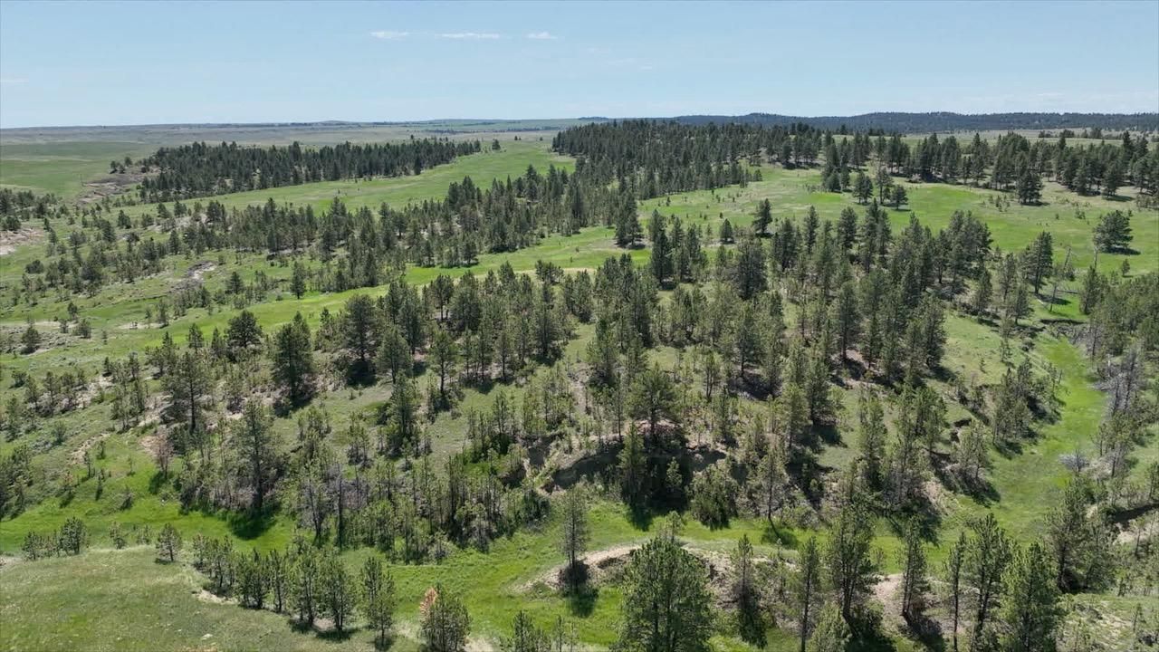 657 acres in Melstone, MT, 59054 MLS Pine Tracks Ranch LandWatch