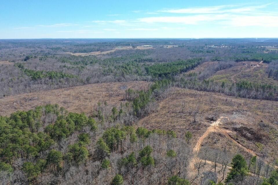 Arley, Winston County, AL Undeveloped Land for sale Property ID