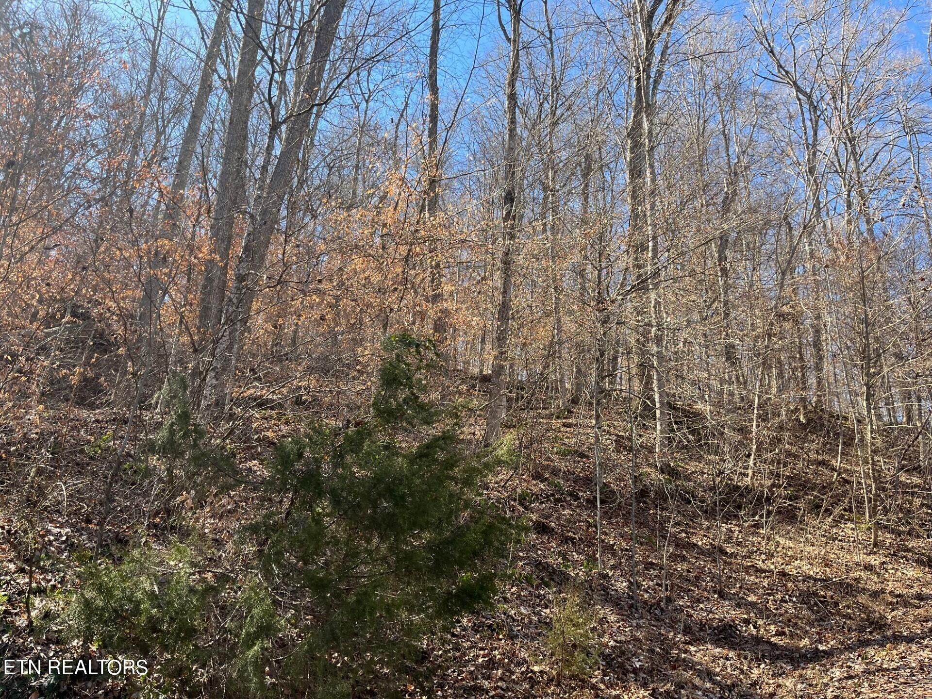 Sharps Chapel, Union County, TN Undeveloped Land, Homesites for sale
