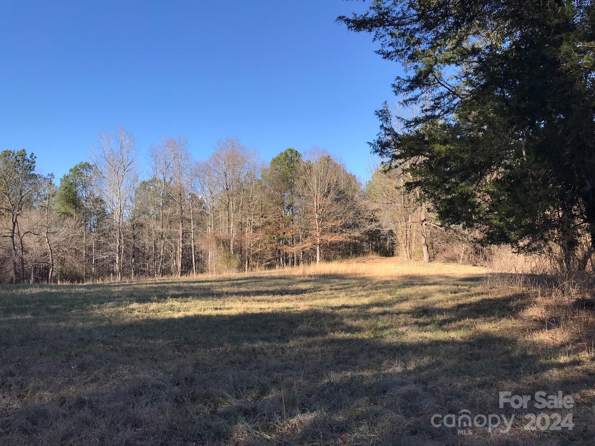Ellenboro, Rutherford County, NC Undeveloped Land for sale Property ID