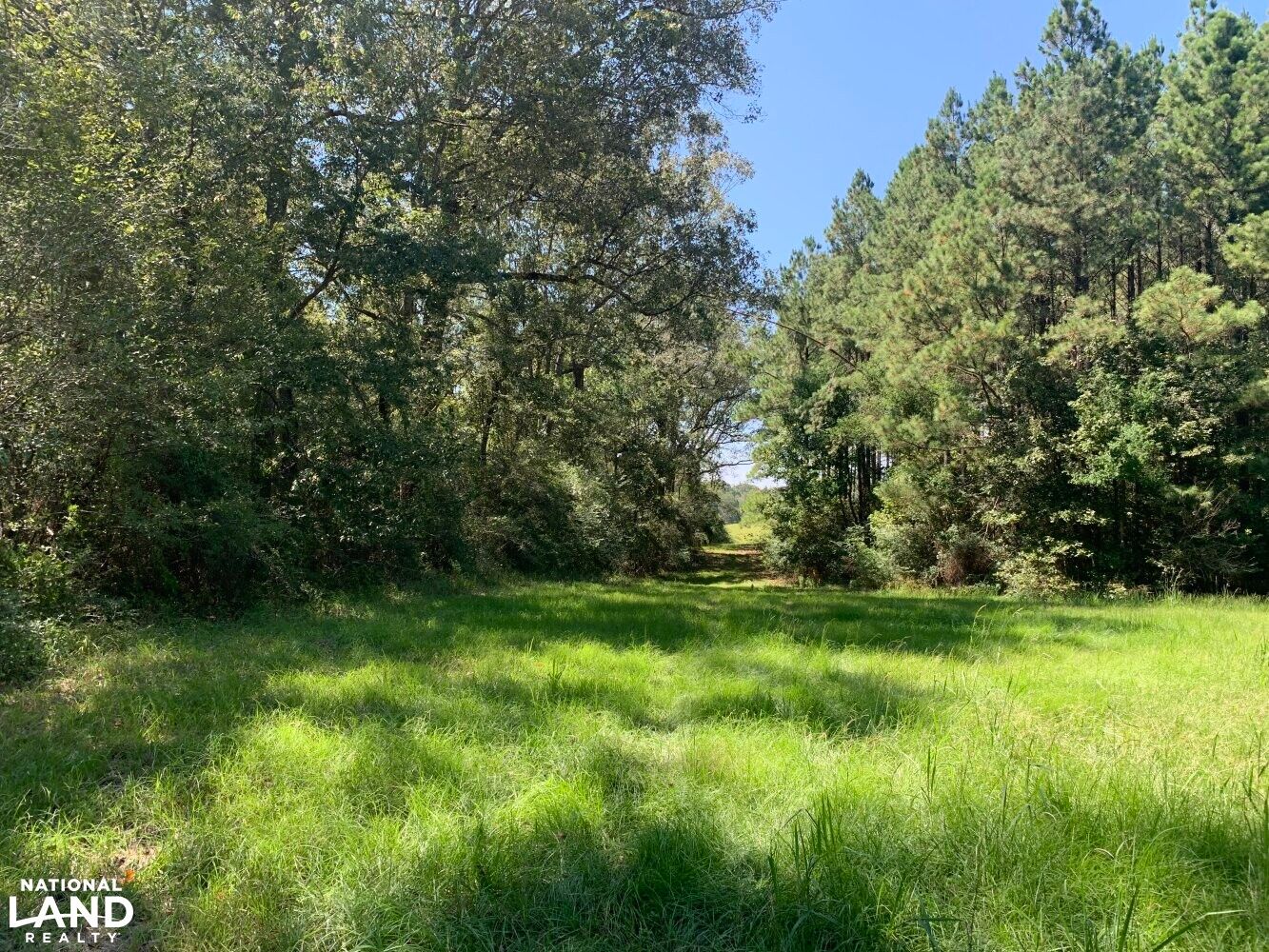 Saint Francisville, West Feliciana Parish, LA Undeveloped Land, Horse