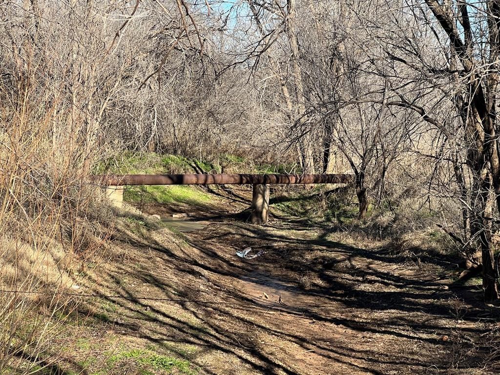 Loraine, Mitchell County, TX Undeveloped Land for sale Property ID