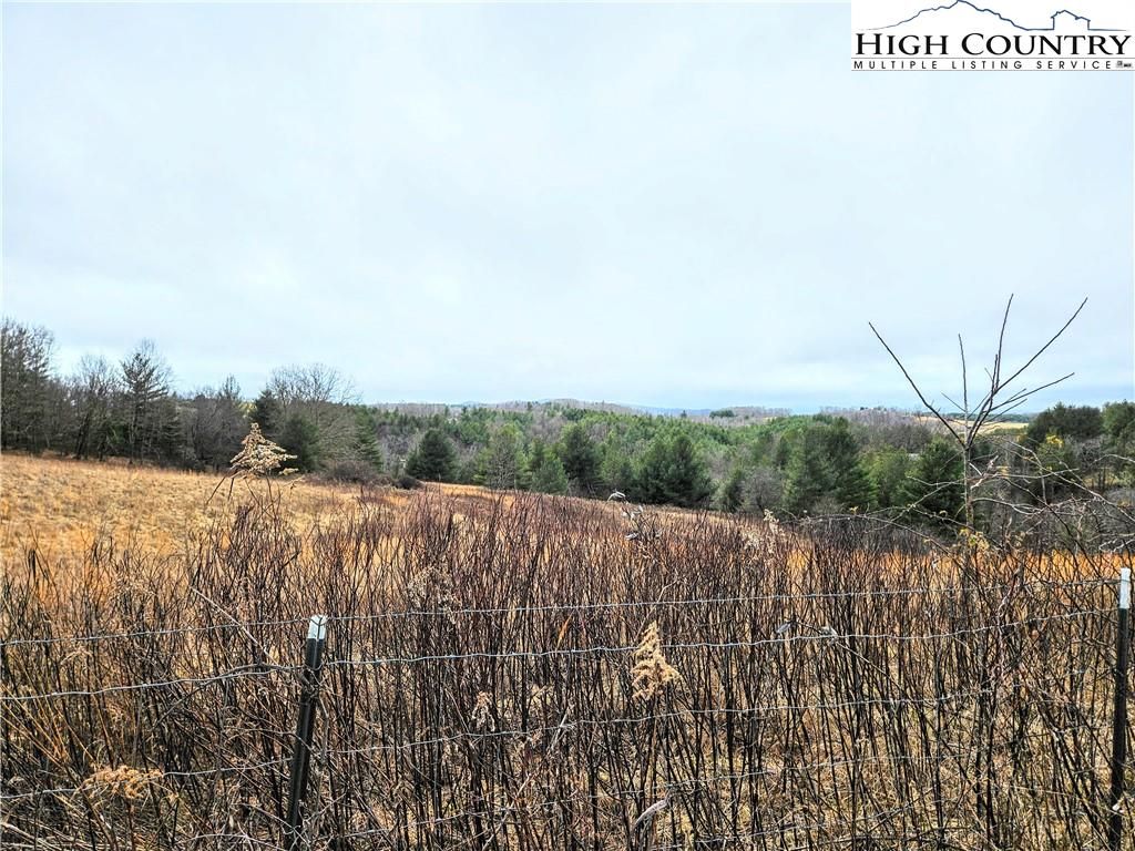 Sparta, Alleghany County, NC Undeveloped Land for sale Property ID