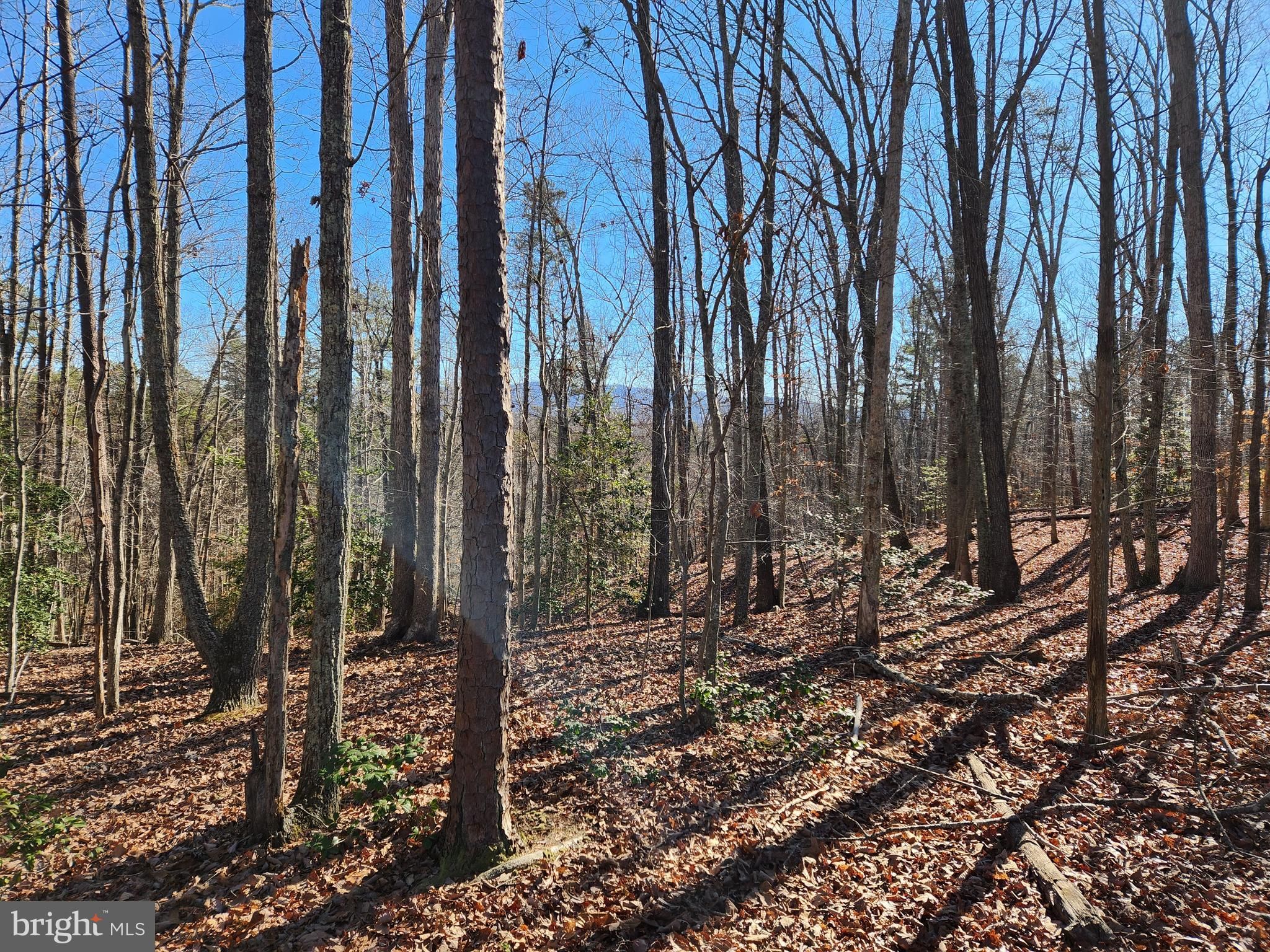 Barboursville, Orange County, VA Homesites for sale Property ID