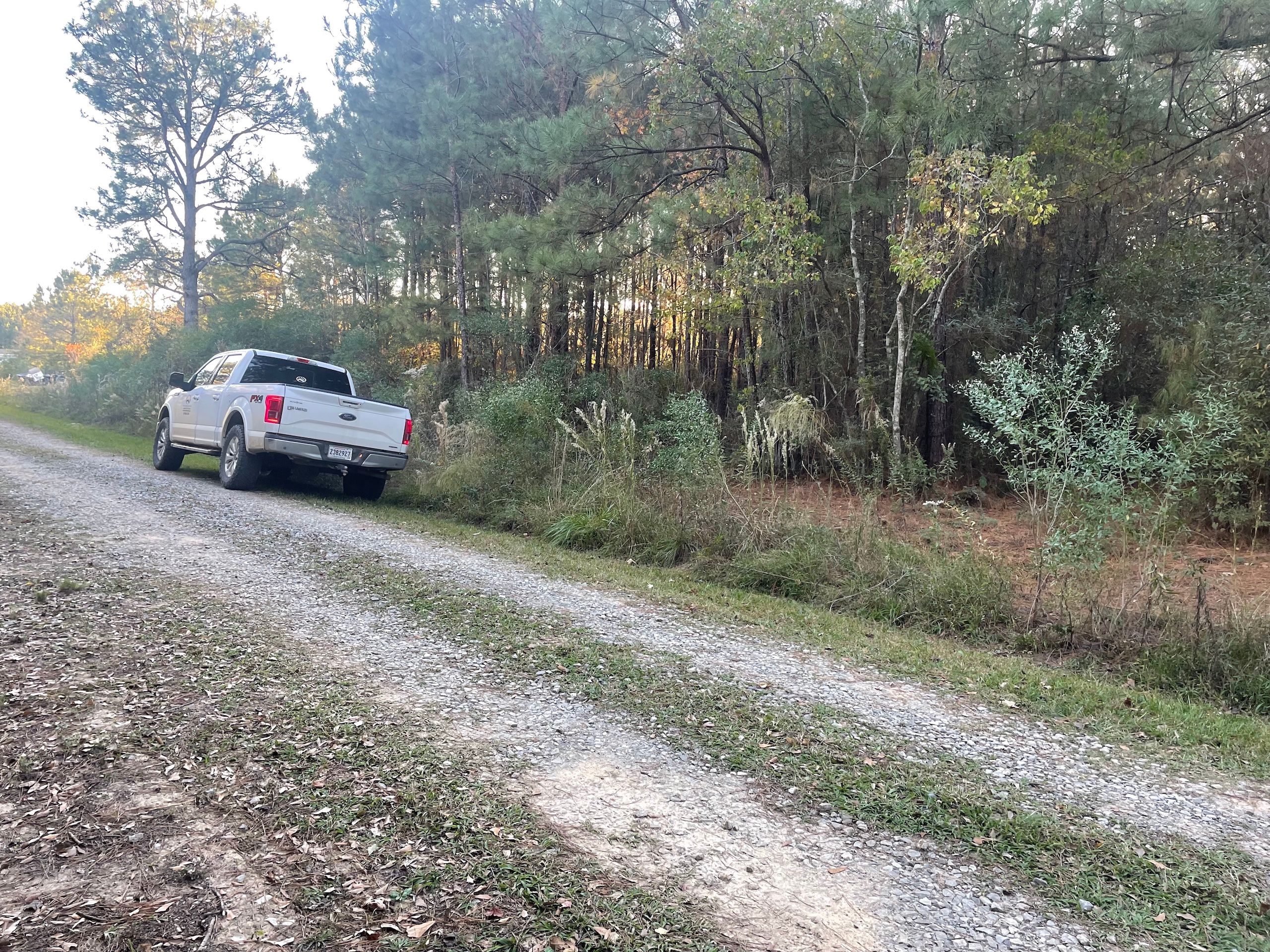 Iota, Acadia Parish, LA Undeveloped Land, Homesites for sale Property