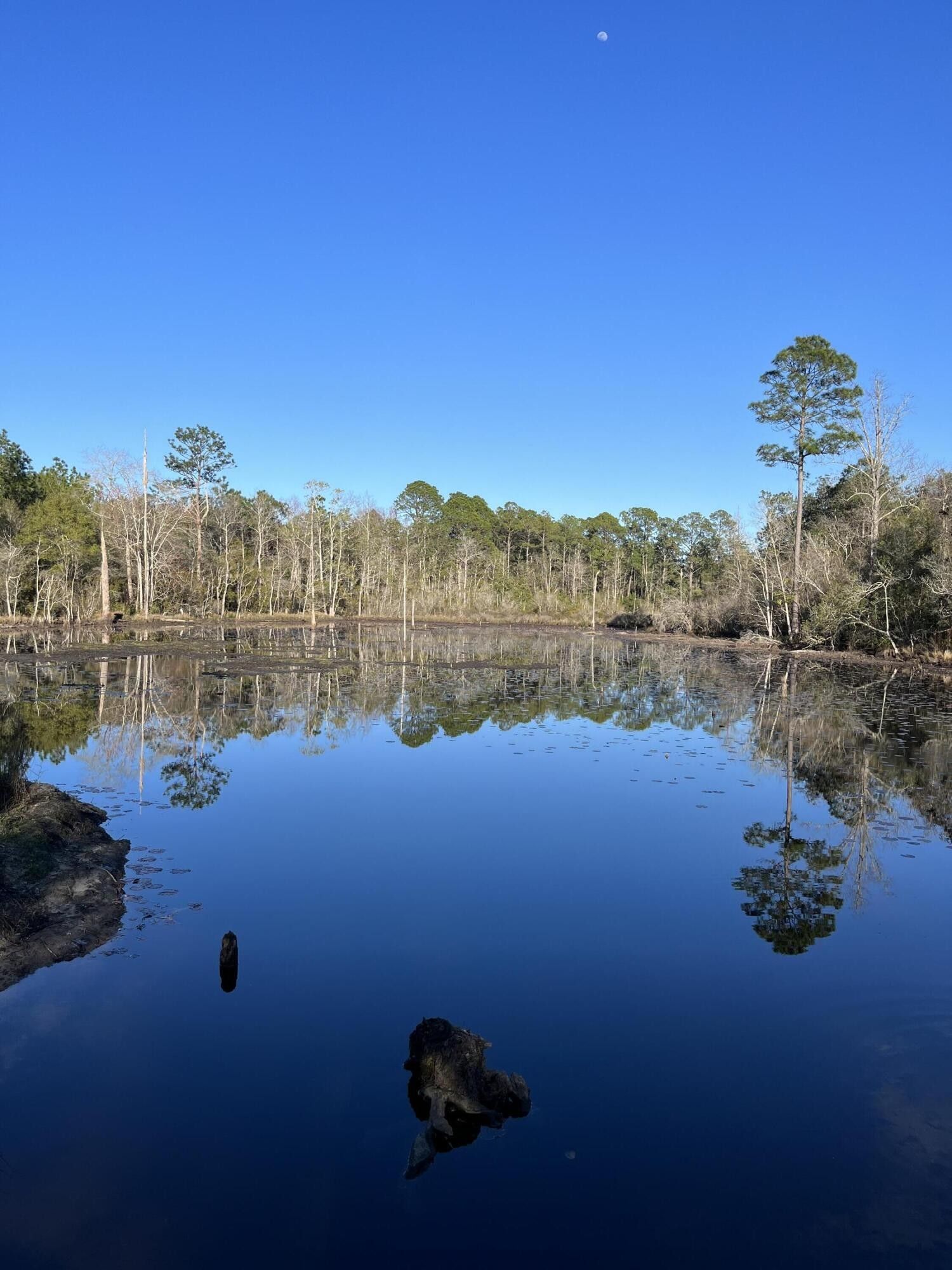 Defuniak Springs, Walton County, FL Undeveloped Land for sale Property ID 418943831 LandWatch
