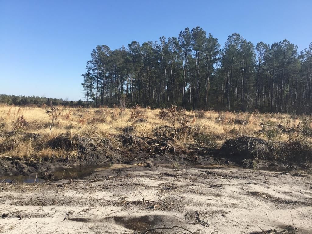 14 acres in Galivants Ferry, SC, 45051 MLS B602 Horry County