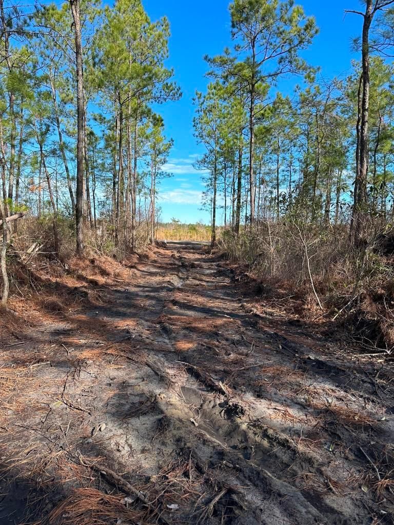 20 acres in Galivants Ferry, SC, 29544 MLS B604Horry County