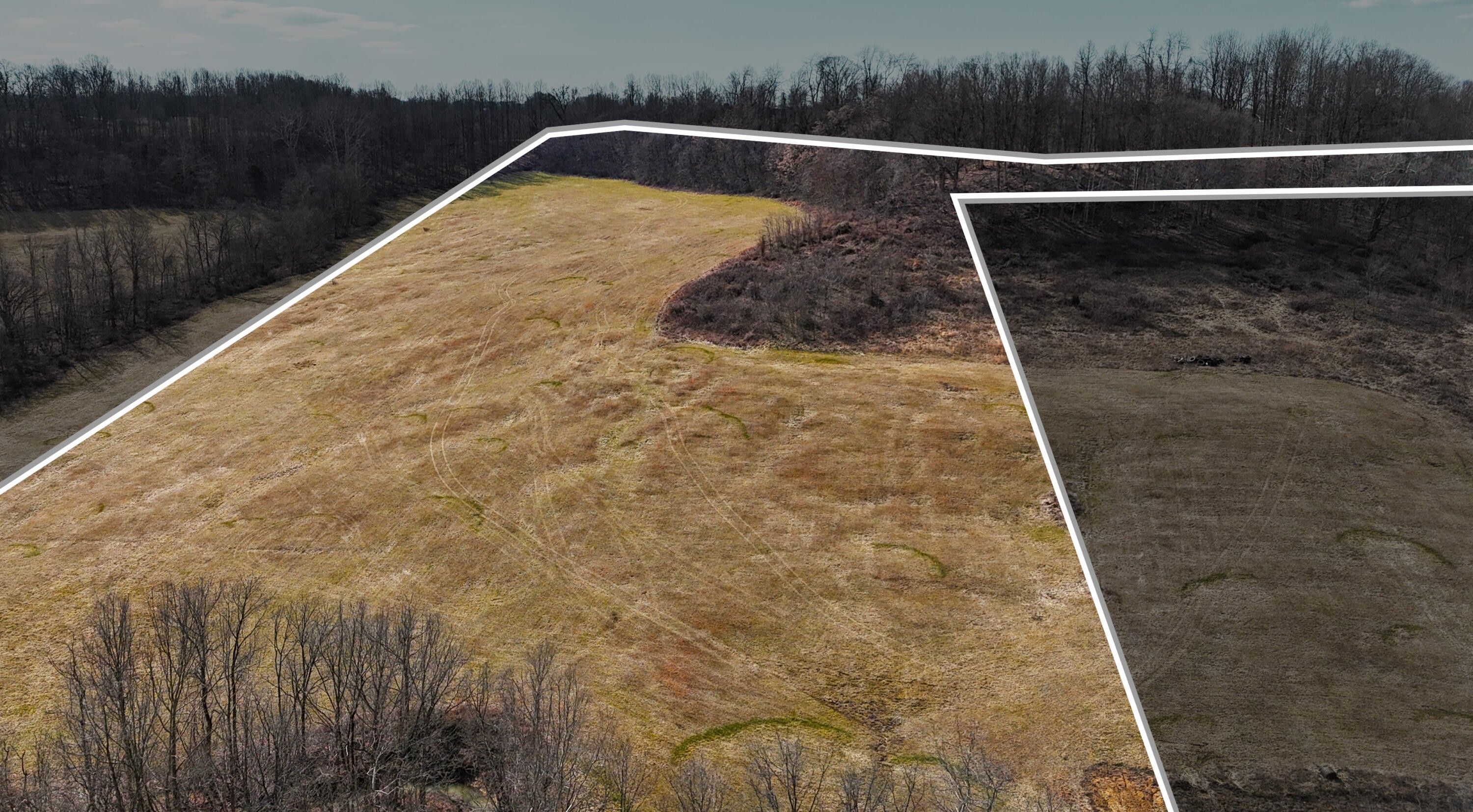 Vanceburg, Lewis County, KY Farms and Ranches for sale Property ID