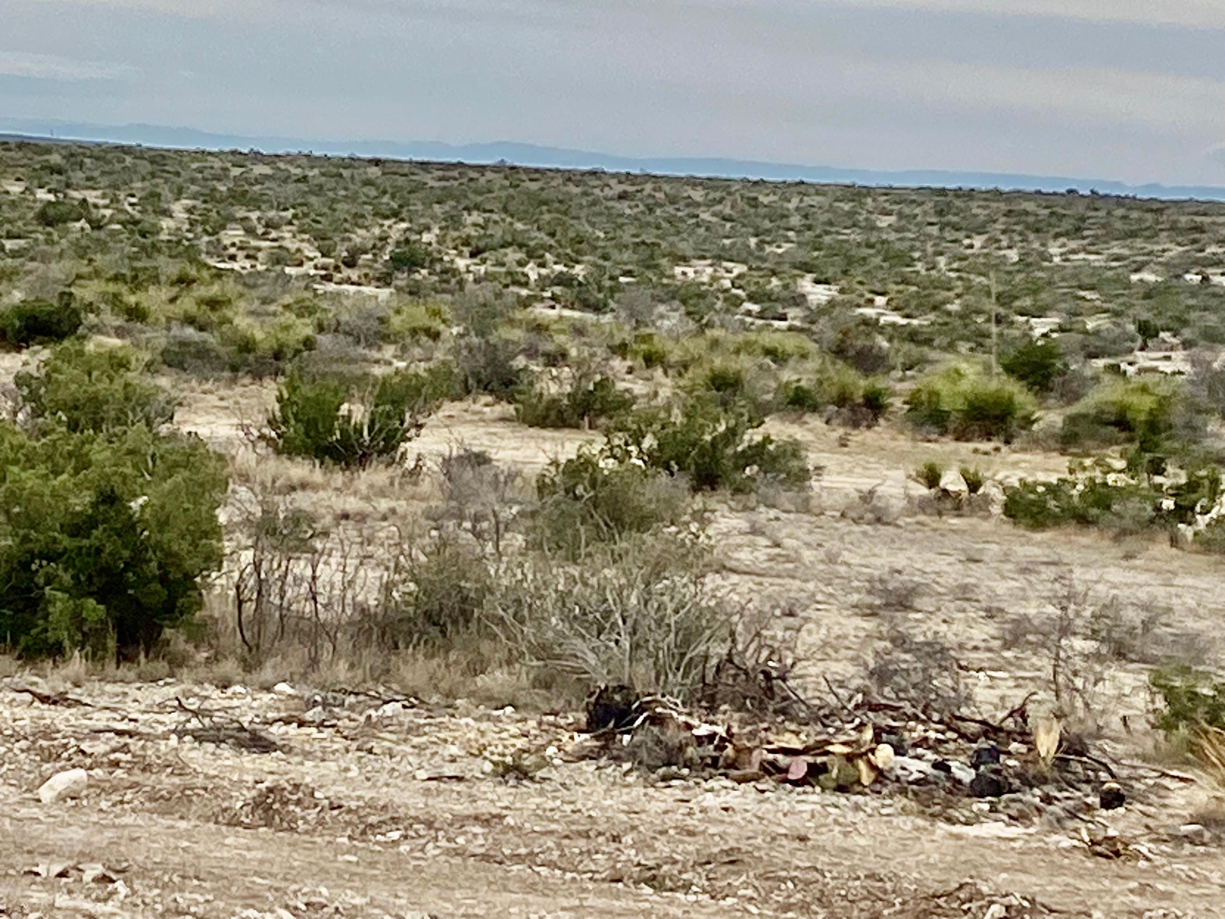 216.55 acres in Sheffield, TX, 79781 LandWatch
