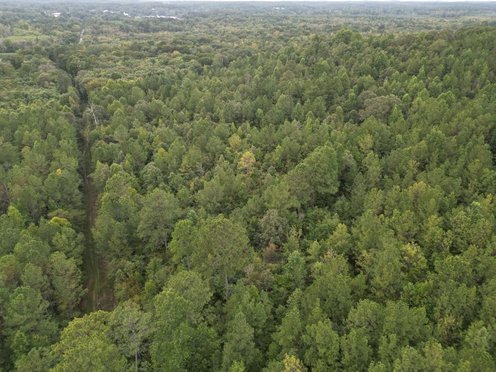 Carrollton, Pickens County, AL Hunting Property for sale Property ID
