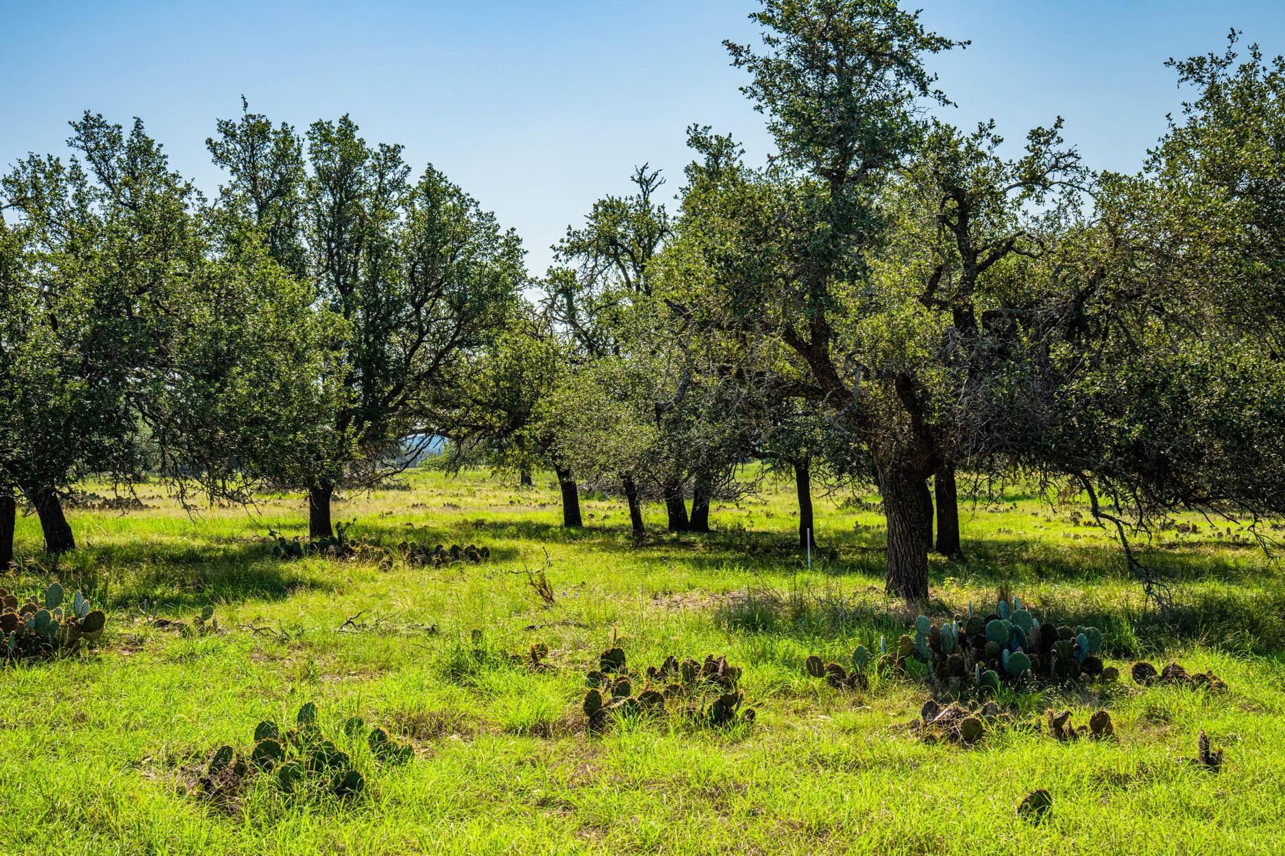 Farm to market 479, Harper, TX 78631 LandWatch