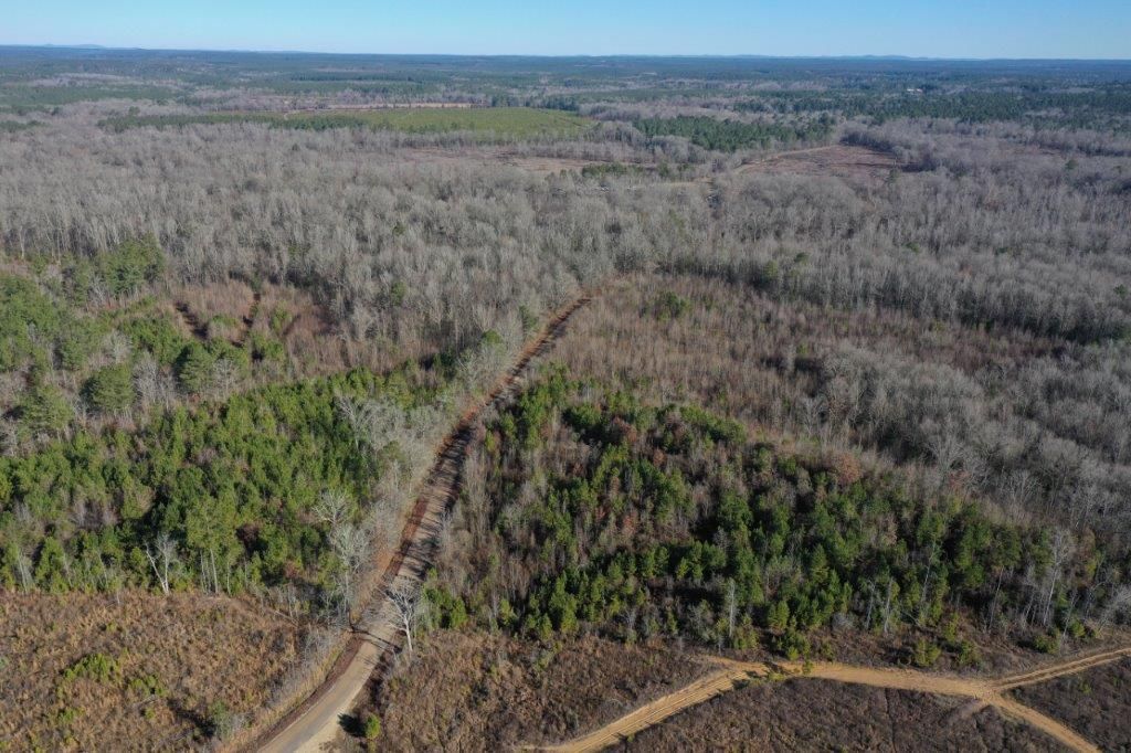 Hollywood, Clark County, AR Timberland Property, Undeveloped Land