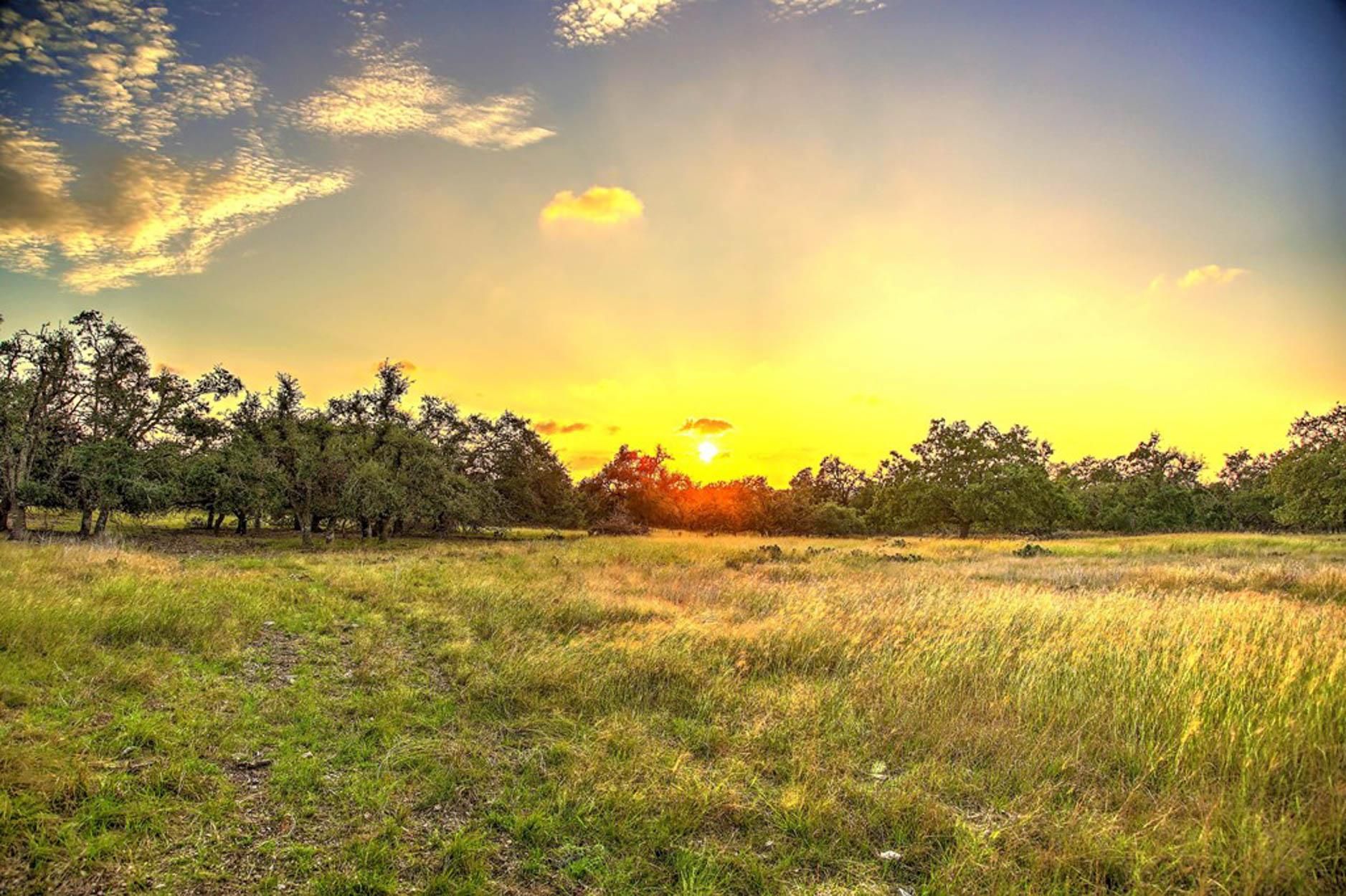 Farm to market 479, Harper, TX 78631 LandWatch