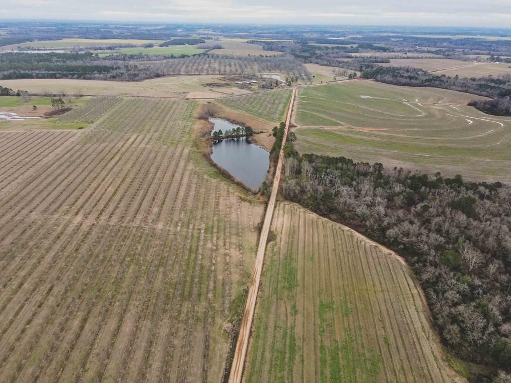 111 Banks Road, Pelham, GA 31779 MLS 922821 LandWatch