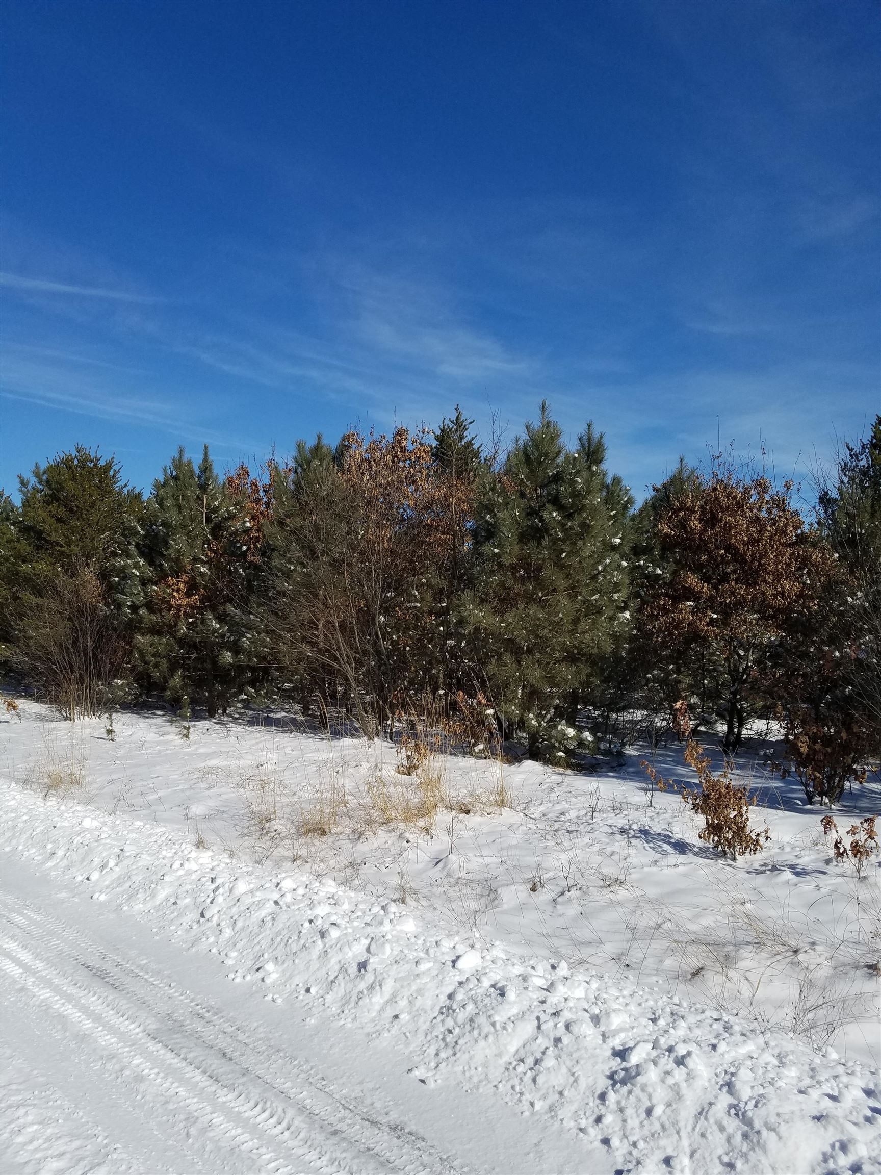 Nekoosa, Adams County, WI Undeveloped Land for sale Property ID