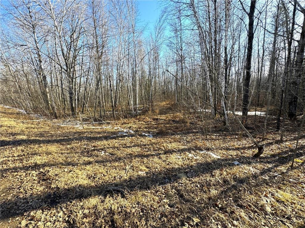 Palisade, Aitkin County, MN Undeveloped Land for sale Property ID