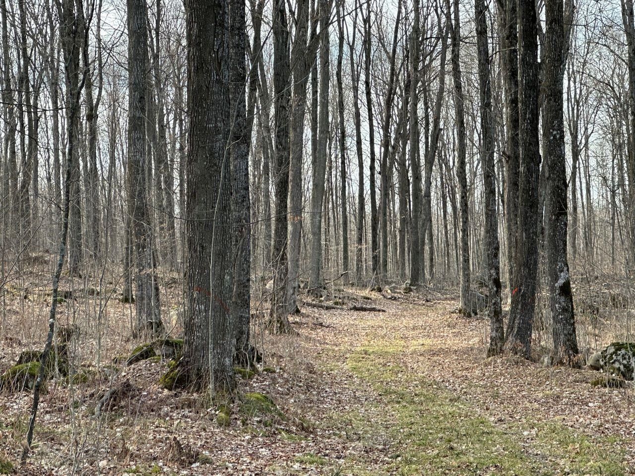 Tigerton, Shawano County, WI Undeveloped Land for sale Property ID