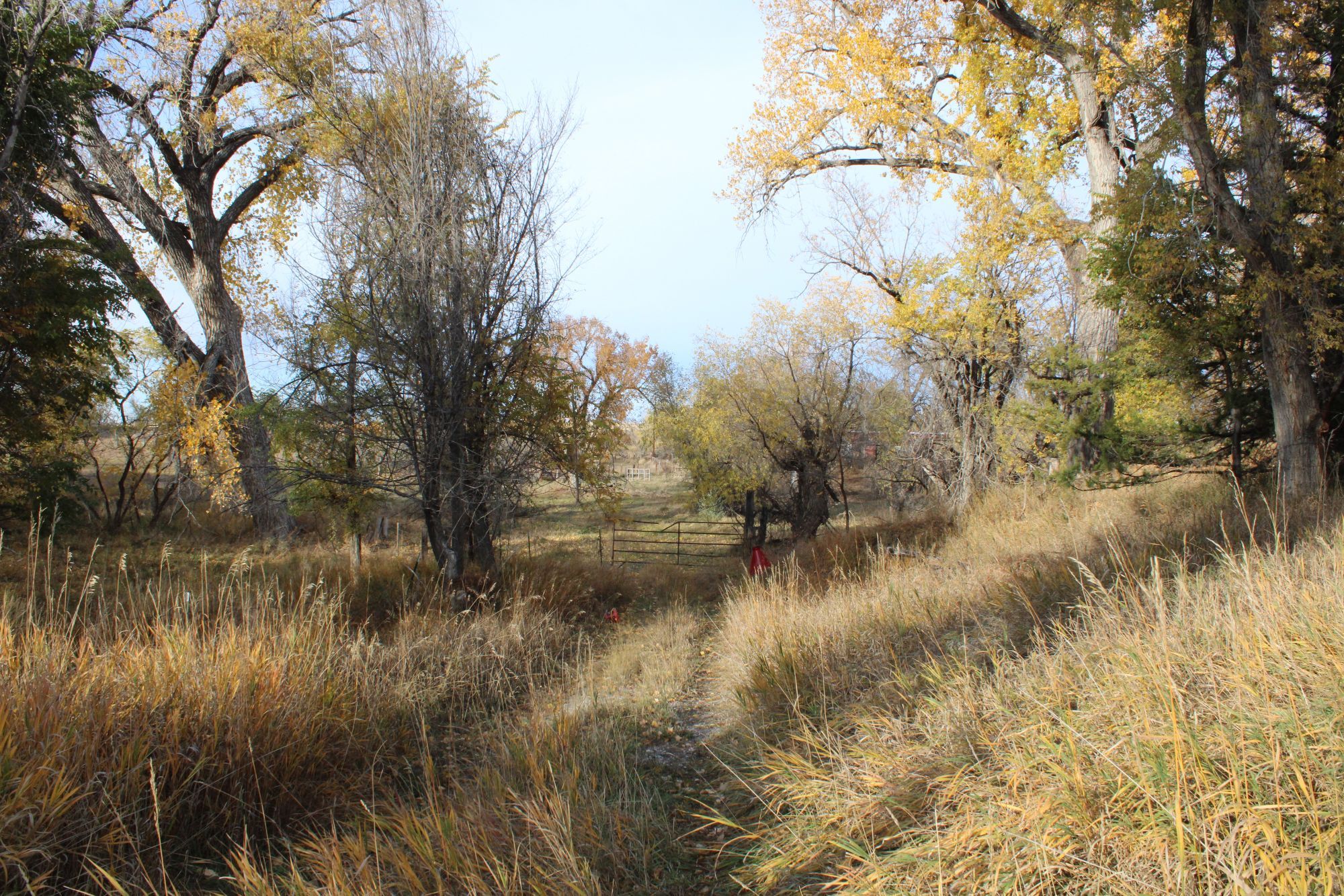 Chadron, Dawes County, NE Recreational Property, Horse Property for
