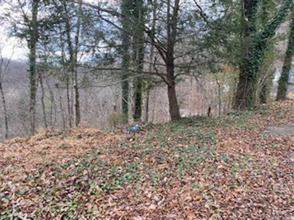 Pikeville, Pike County, KY Undeveloped Land, Homesites for sale