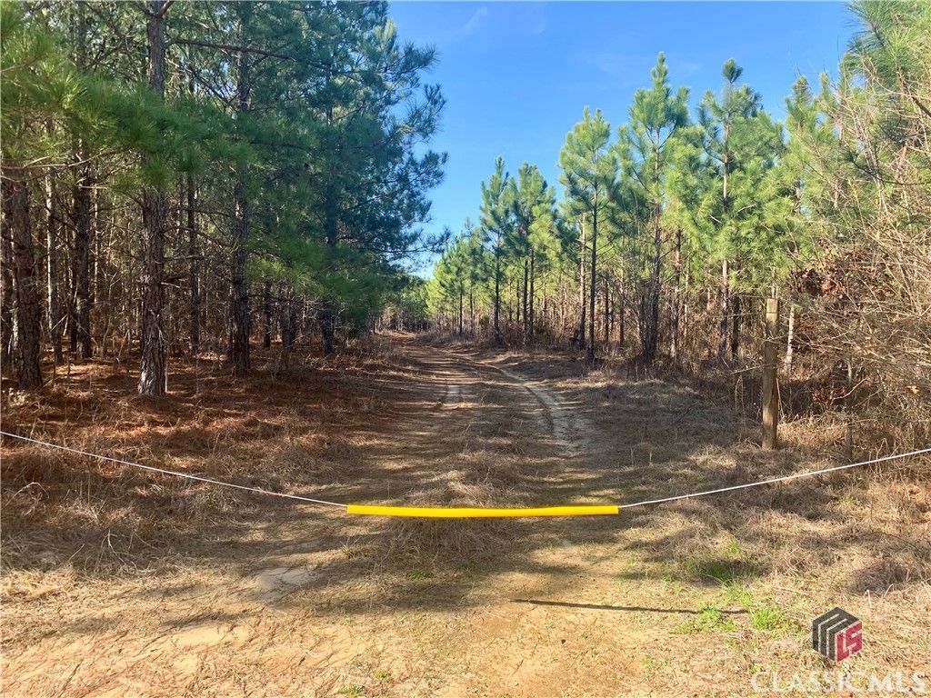 Wrightsville, Johnson County, GA Undeveloped Land, Lakefront Property