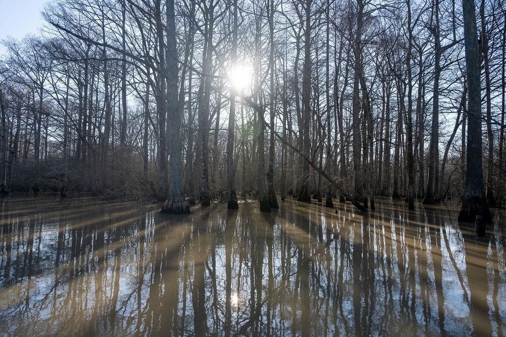 Fair Oaks, Woodruff County, AR Undeveloped Land, Lakefront Property