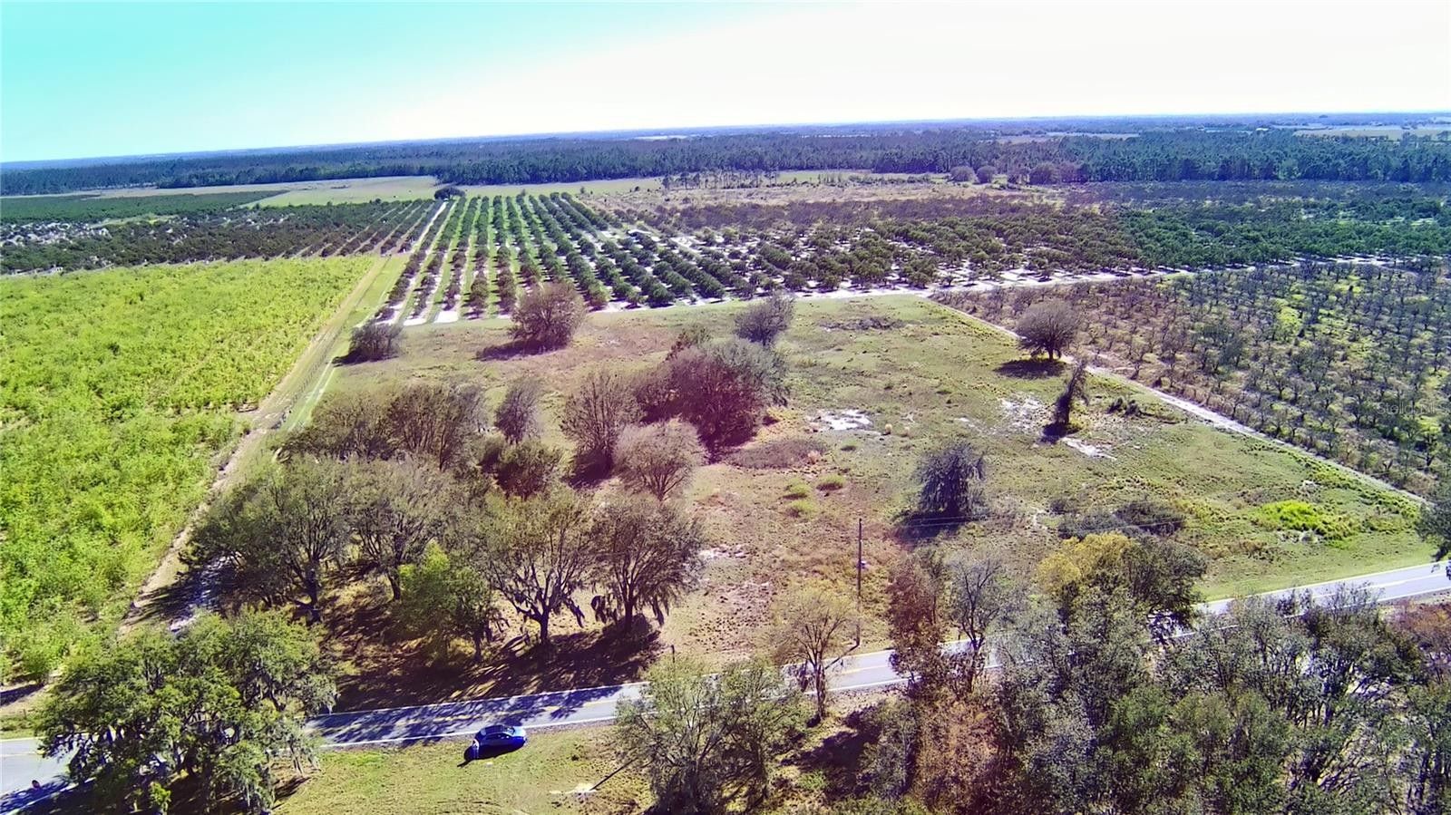 Frostproof, Polk County, FL Undeveloped Land for sale Property ID