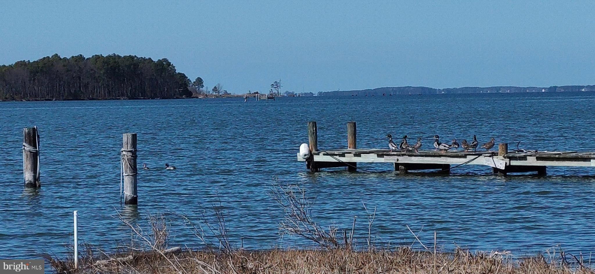 Cambridge, Dorchester County, MD Lakefront Property, Waterfront