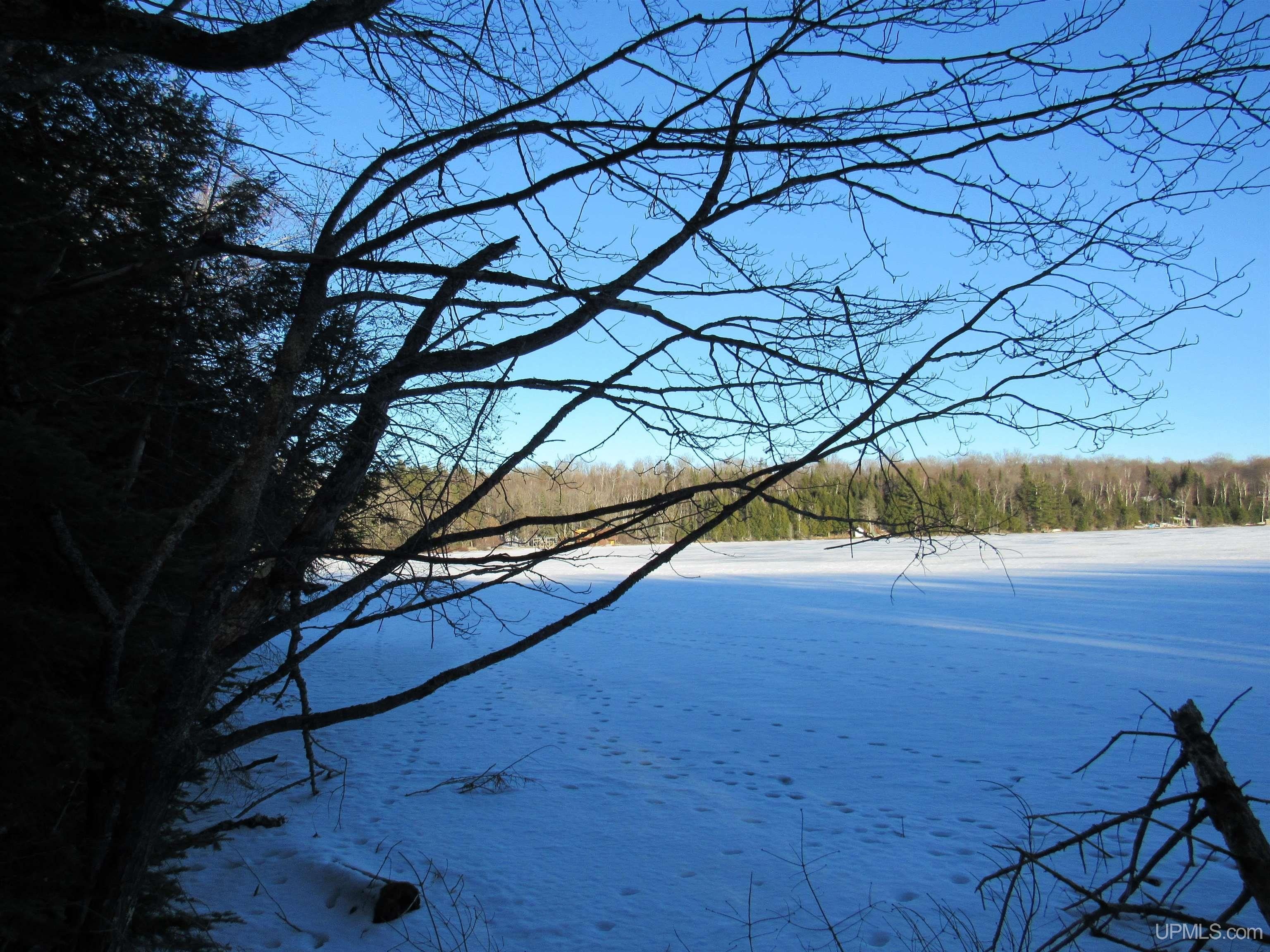 Watersmeet, Gogebic County, MI Undeveloped Land, Lakefront Property