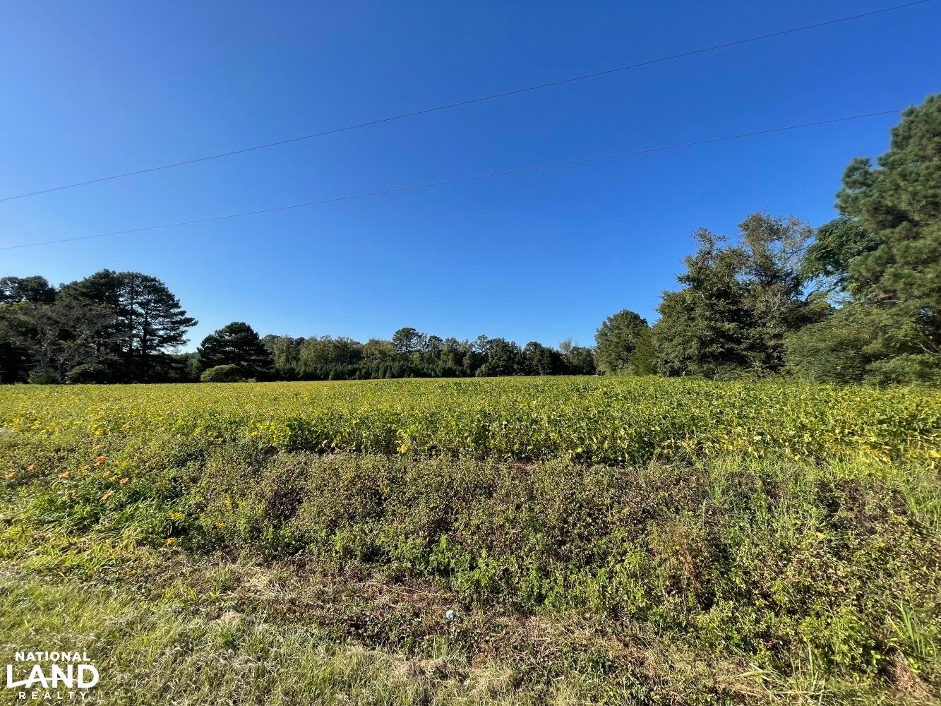 0 Old Dam Road, Kenly, NC 27542 LandWatch