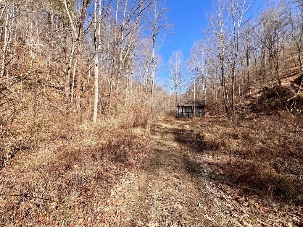 0 Bend Branch Road, Salyersville, KY 41465 MLS 121790 LandWatch