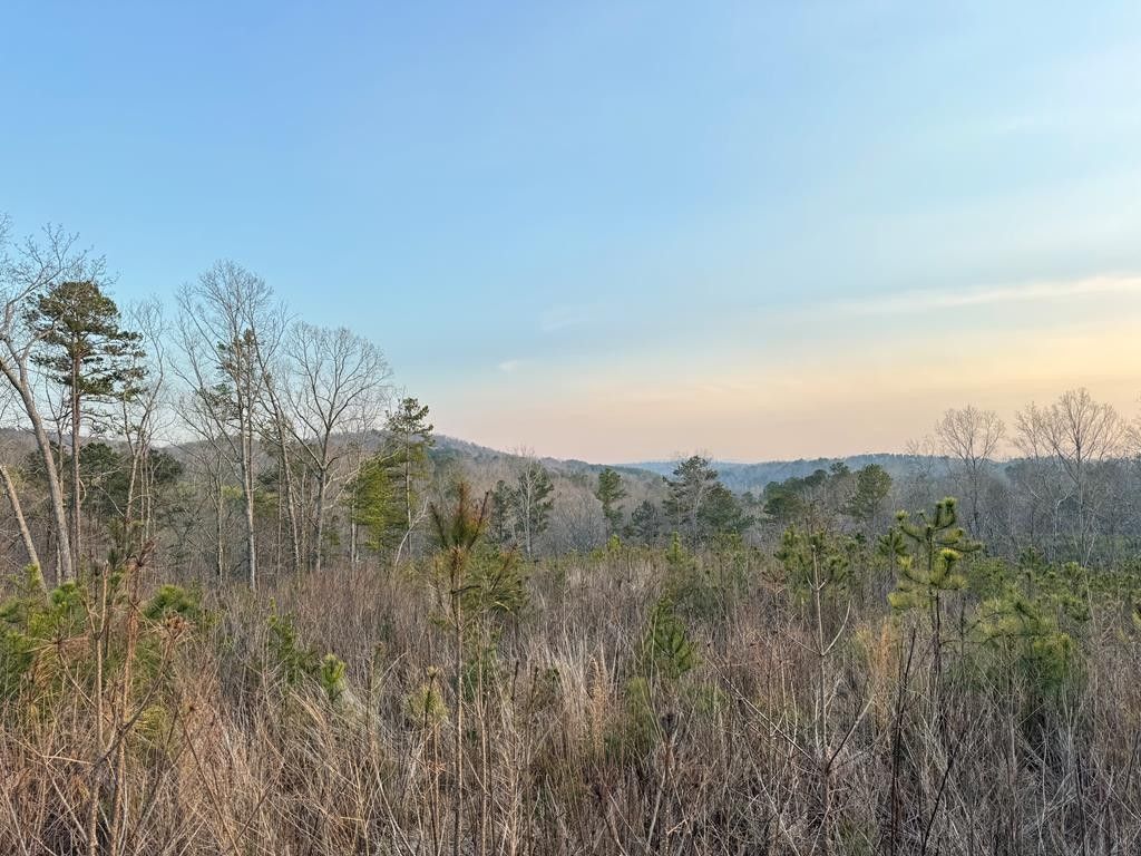 Ranger, Pickens County, GA Undeveloped Land, Homesites for sale