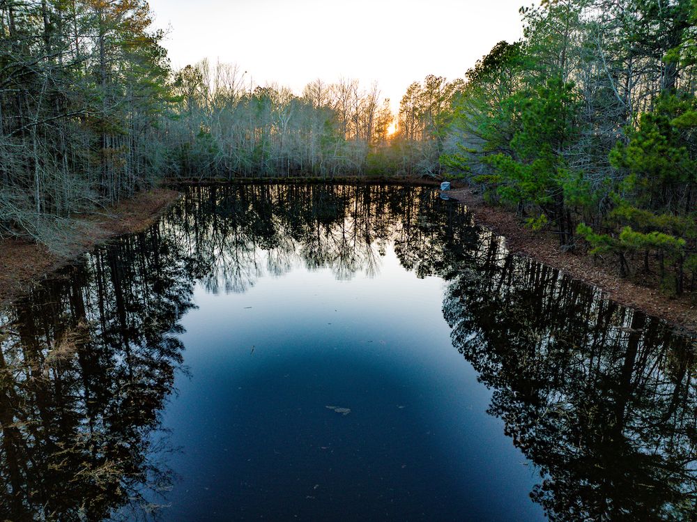 Pheba, Clay County, MS Recreational Property, Timberland Property