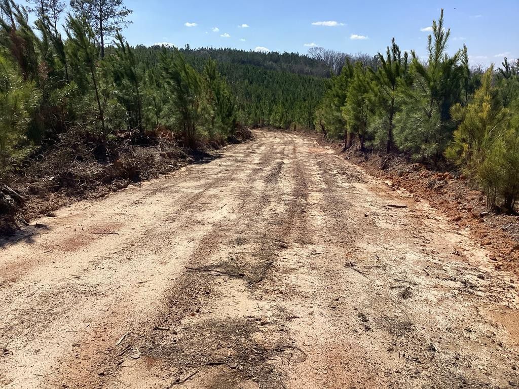 Lapine, Crenshaw County, AL Undeveloped Land for sale Property ID