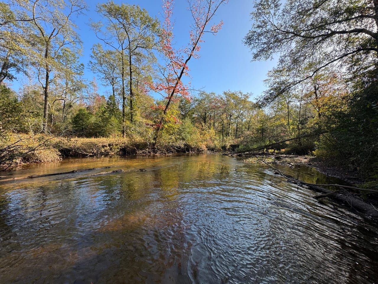 Booth, Autauga County, AL Timberland Property, Undeveloped Land, Hunting Property for sale