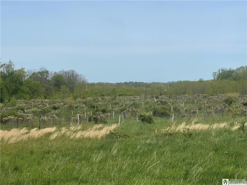 Brocton, Chautauqua County, NY Undeveloped Land for sale Property ID