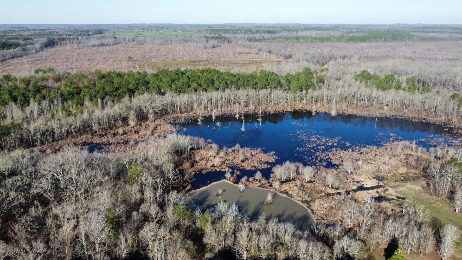 51 Acres, Hinds County, MS, Terry, MS 39170 LandWatch