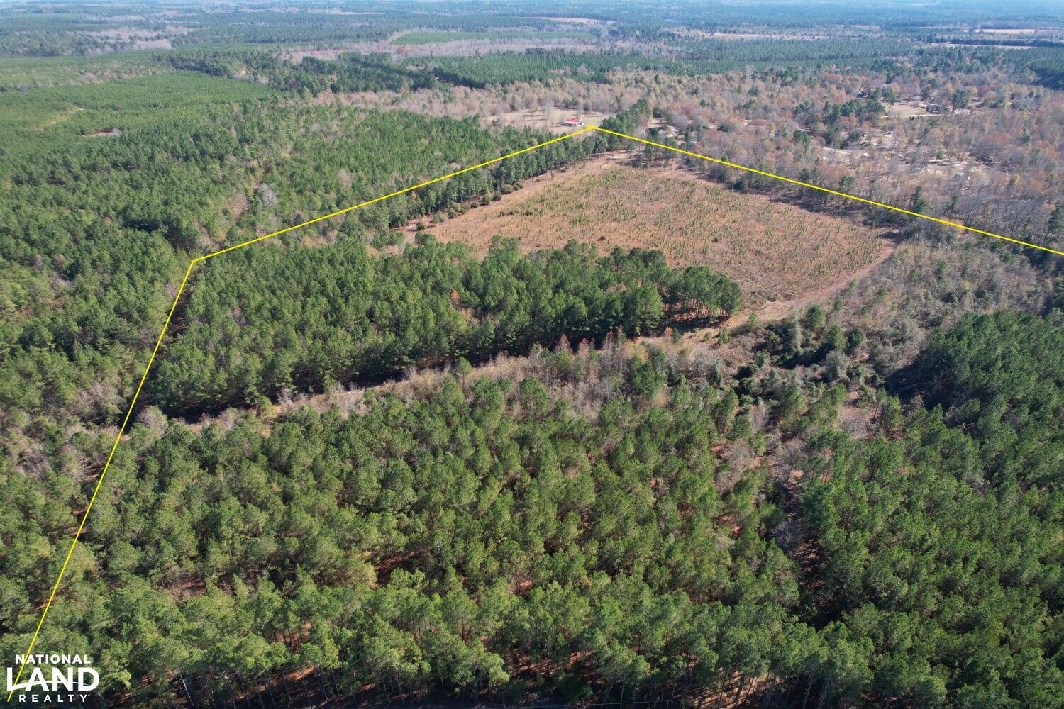 Windsor, Aiken County, SC Undeveloped Land, Commercial Property, Horse