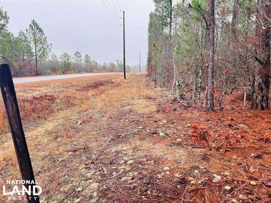 Mauk, Taylor County, GA Undeveloped Land, Homesites for sale Property