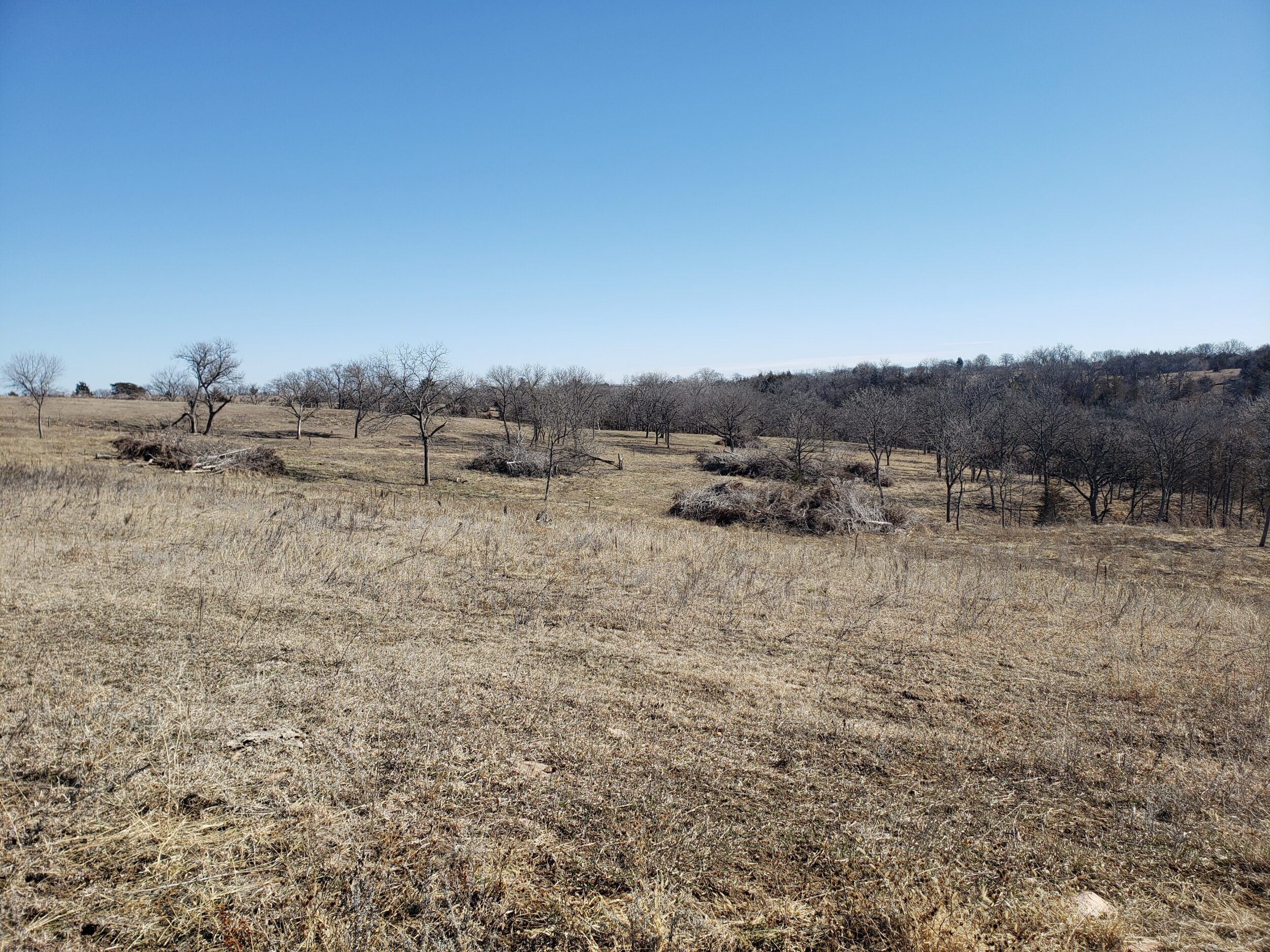 To Be Determined, Fairbury, NE 68352 LandWatch