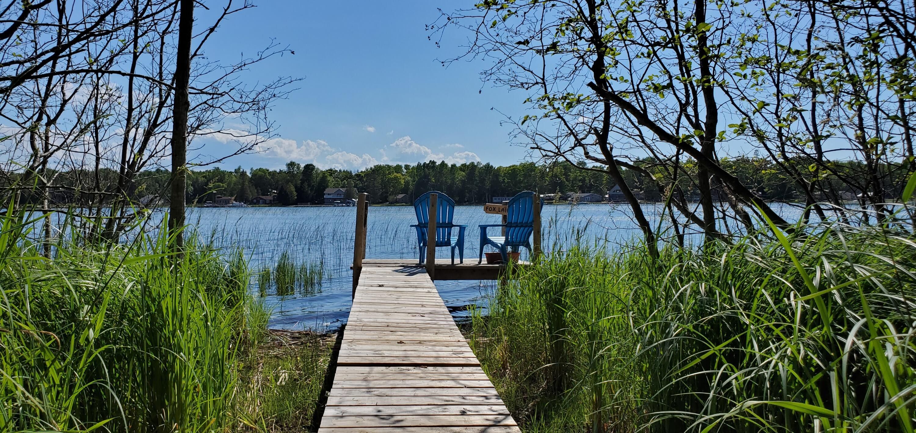 Cedarville, Mackinac County, MI Undeveloped Land, Lakefront Property