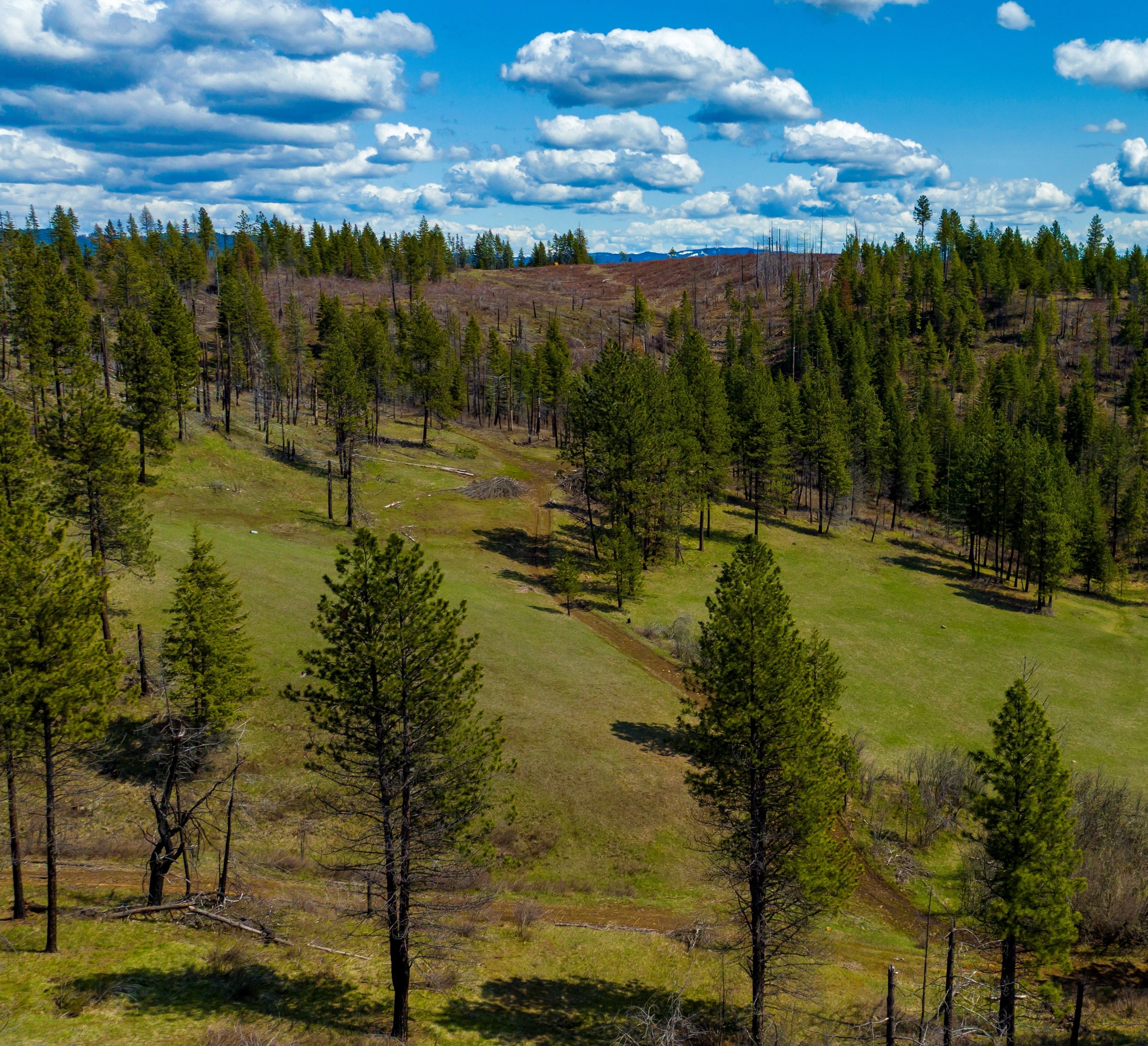 Weippe, Clearwater County, ID Farms and Ranches, Recreational Property