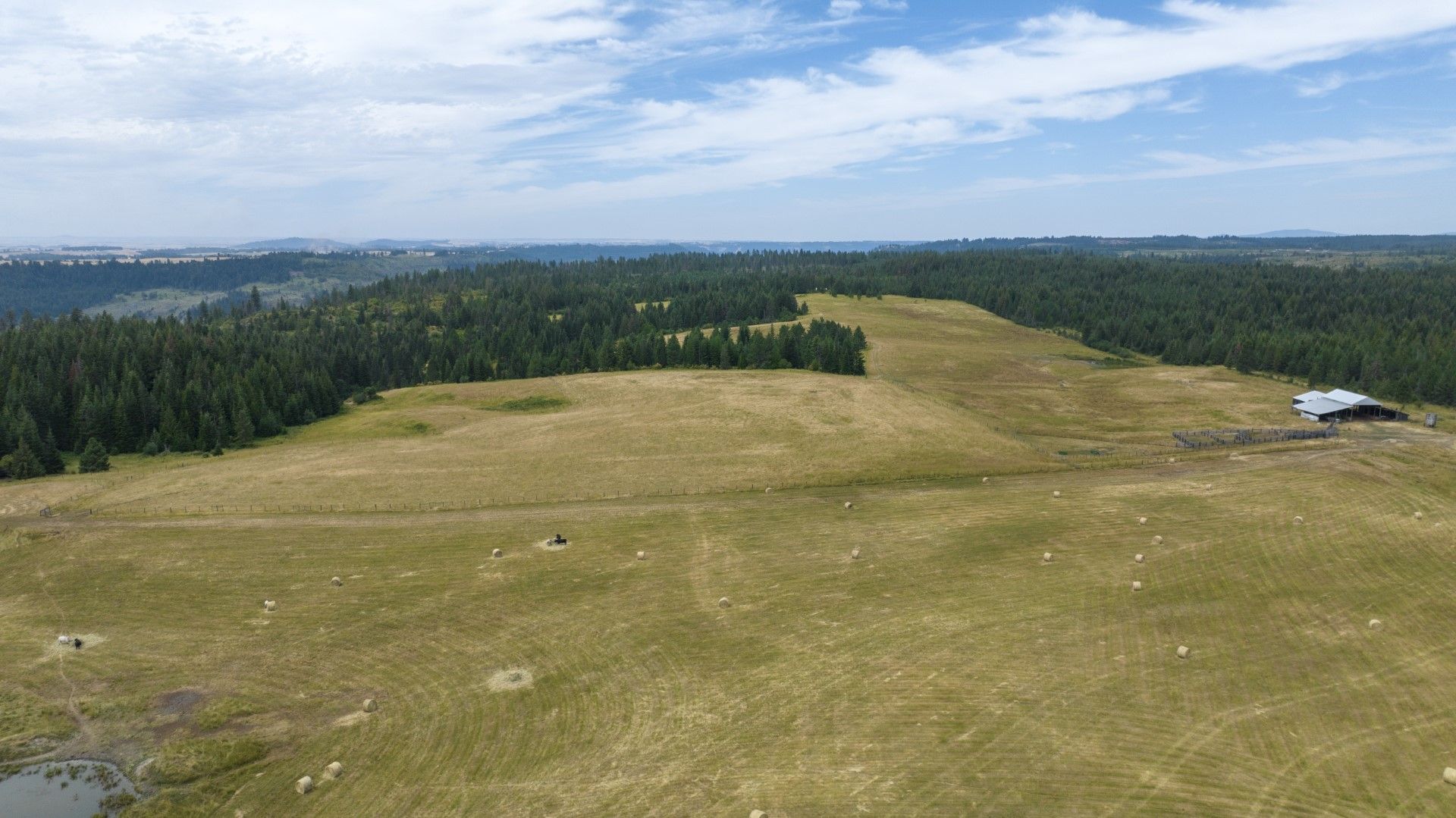 Weippe, Clearwater County, ID Farms and Ranches, Recreational Property, Undeveloped Land for