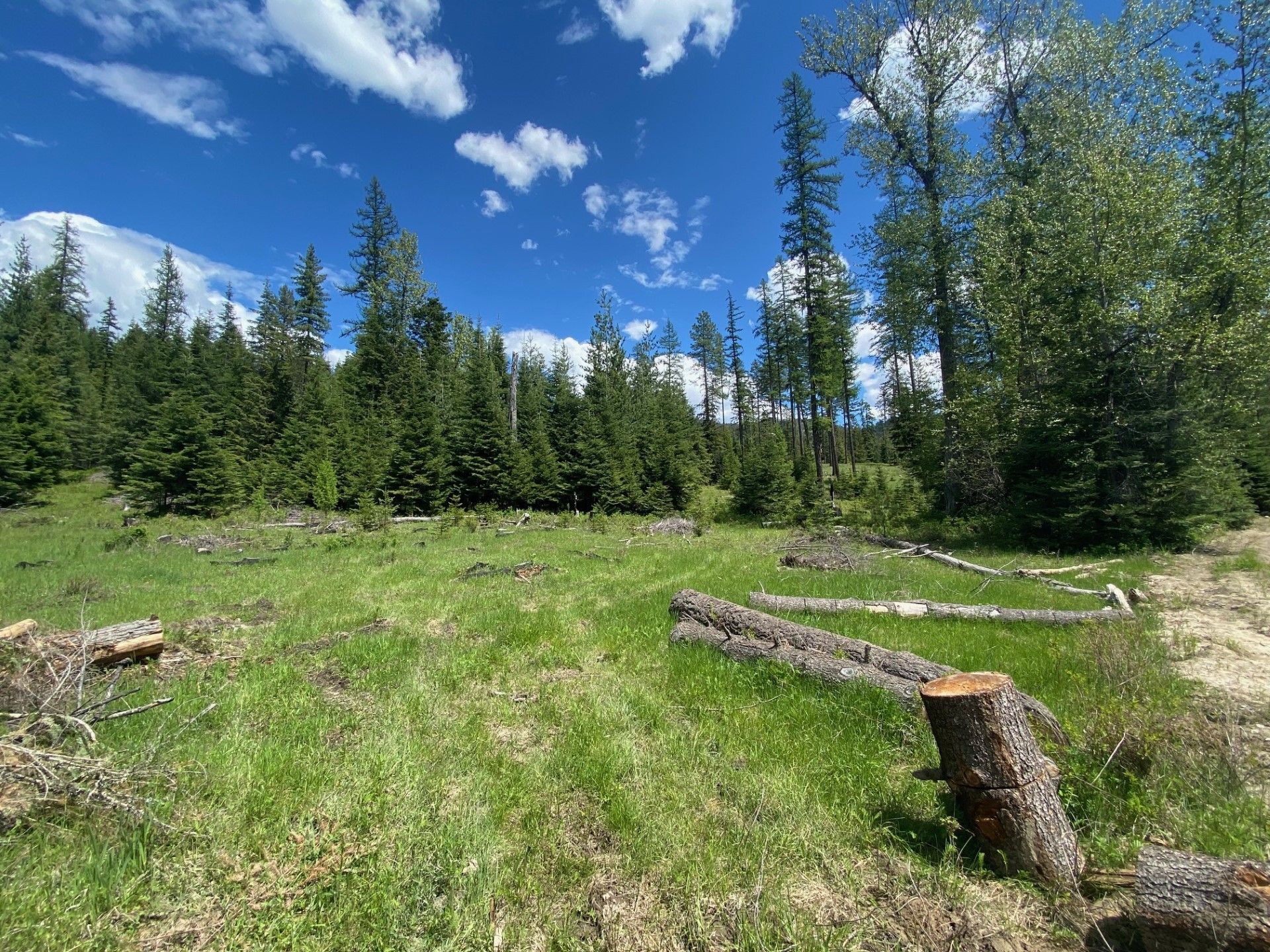 Priest River, Bonner County, ID for sale Property ID 417507570 LandWatch