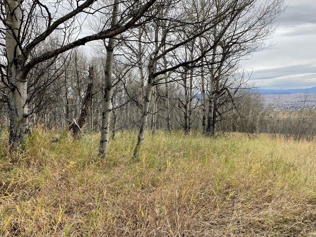 Butte, Silver Bow County, MT Recreational Property, Undeveloped Land