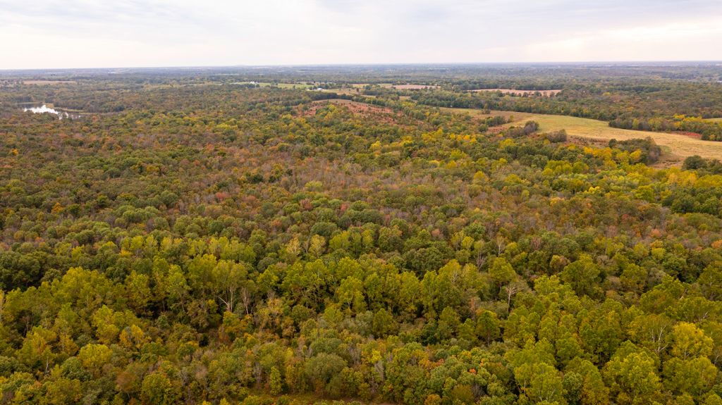 00000 E Veteran Rd, Sheldon, MO 64767 MLS Vernon 203 LandWatch