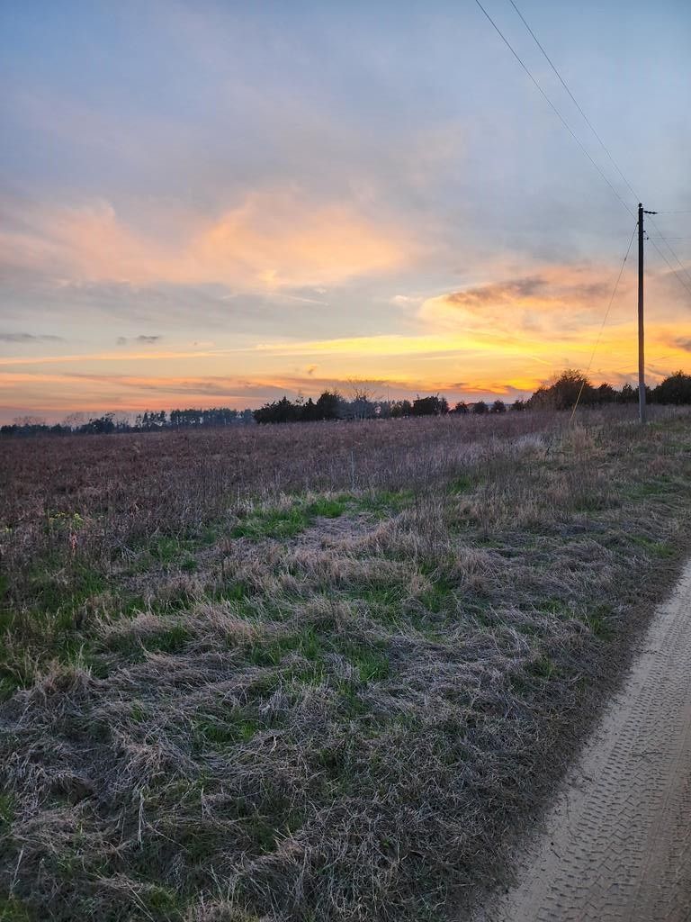 Colquitt, Miller County, GA Undeveloped Land, Homesites for sale