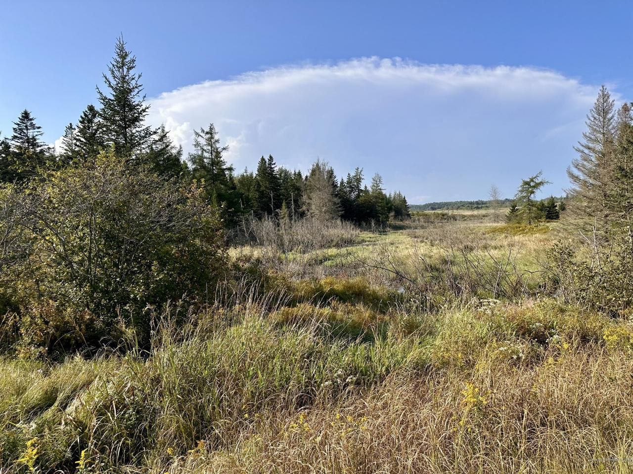 Machias, Washington County, ME Undeveloped Land for sale Property ID