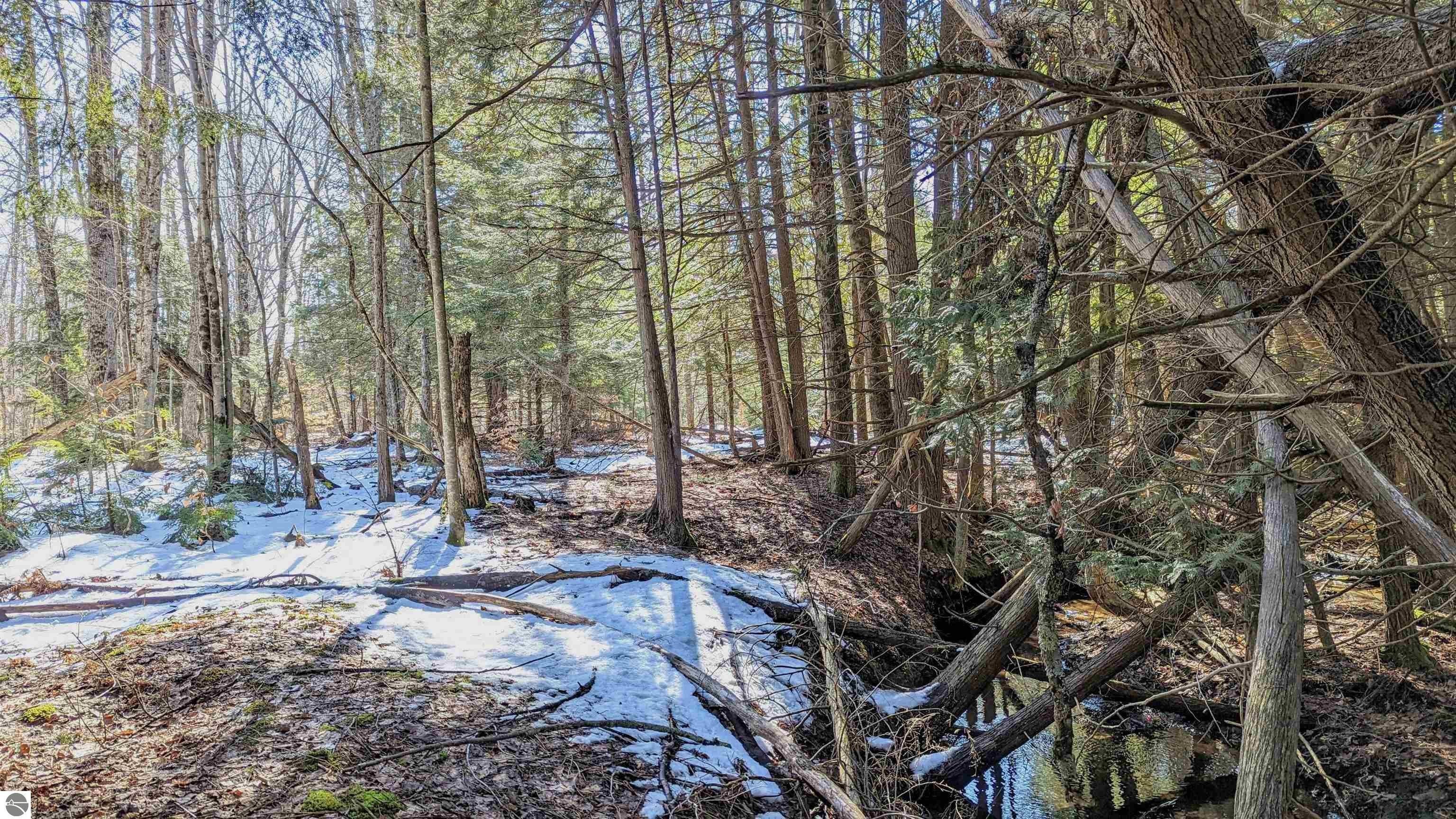 Thompsonville, Manistee County, MI Undeveloped Land, Lakefront Property